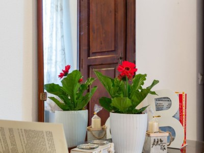 Farmhouse 360 degree view of the Tuscan - Outdoor photo 35