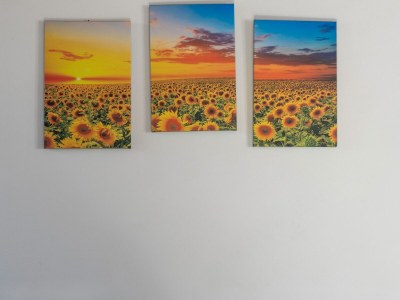 Farmhouse 360 degree view of the Tuscan - Outdoor photo 36