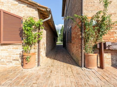 Farmhouse Farmhouse in Buonconvento in Crete Senesi - Farmhouse