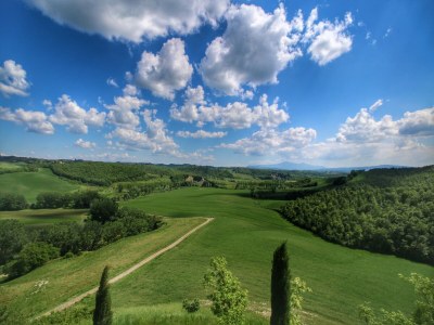 Farmhouse Farmhouse in Buonconvento - Outdoor photo 6