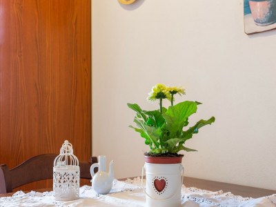 Farmhouse Farmhouse in Buonconvento - Outdoor photo 33