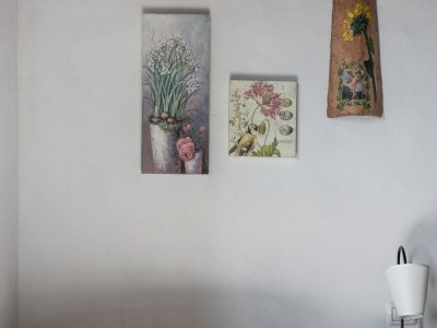 Farmhouse Farmhouse in Buonconvento - Outdoor photo 36