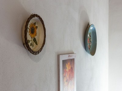 Farmhouse Farmhouse in Buonconvento - Outdoor photo 39