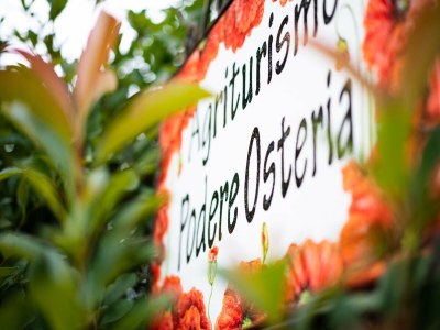 Holiday house Modernes Ferienhaus - Outdoor photo 37