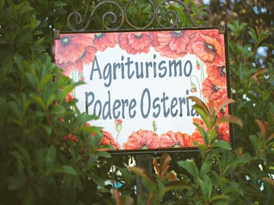 Holiday house Modernes Ferienhaus - Outdoor photo 38