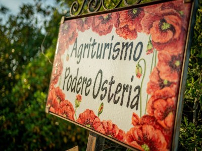 Holiday house Modernes Ferienhaus - Outdoor photo 40