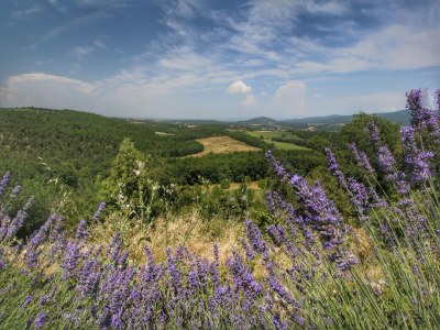 Farmhouse Agriturismo con giardino privato - Outdoor photo 12
