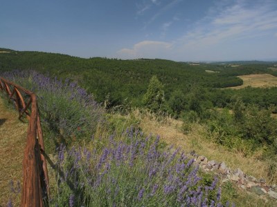 Farmhouse Agriturismo con giardino privato - Outdoor photo 14