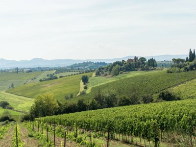 Holiday house Friedlicher Rückzugsort in der Toskana - Environment photo 32