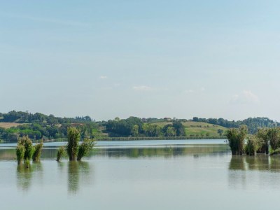 Holiday house Friedlicher Rückzugsort in der Toskana - Environment photo 33