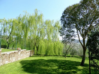 Holiday house Tuscan Hideaway with Pool - Outdoor photo 14