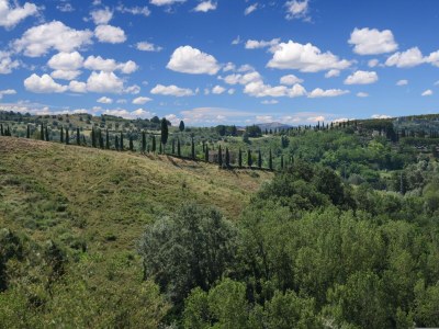 Holiday house Cottage in Asciano with Pool and Terrace - Environment photo 36