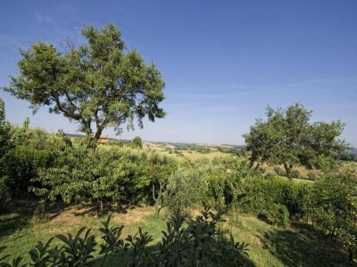 Farmhouse Farmhouse Montepulciano near Vineyards Pool - Environment photo 34