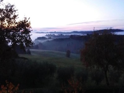 Farmhouse Farmhouse Montepulciano near Vineyards Pool - Environment photo 38