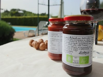 Farmhouse Farmhouse Montepulciano near Vineyards Pool - Outdoor photo 40