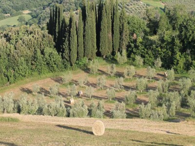 Villa Gemütliche Villa für sechs Gäste - Environment photo 25