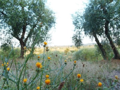Villa Gemütliche Villa für sechs Gäste - Environment photo 26