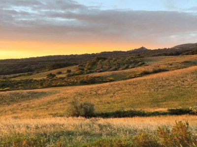 Villa Gemütliche Villa für sechs Gäste - Environment photo 32