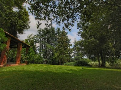 Holiday house Charming Cottage in Sinalunga - Outdoor photo 6