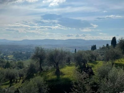 Holiday house Charming Cottage in Sinalunga - Environment photo 28