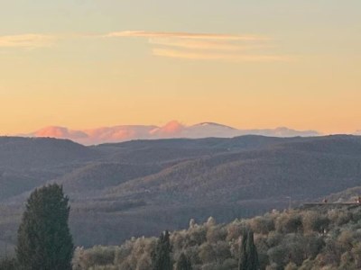 Holiday house Charming Cottage in Sinalunga - Environment photo 29