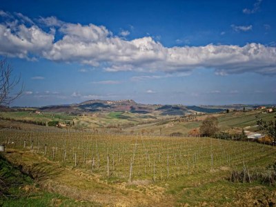 Villa Ruhiger Villenaufenthalt in der Toskana - Environment photo 24