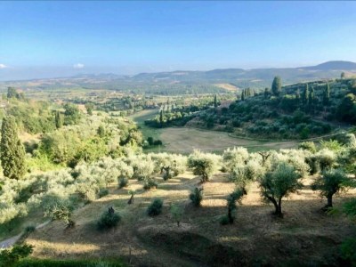 Villa Ruhiger Villenaufenthalt in der Toskana - Environment photo 27
