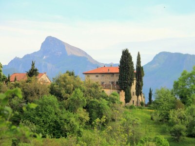 Holiday house Rustikales toskanisches Cottage - Environment photo 31