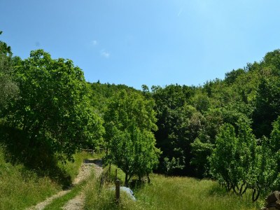 Holiday house Rustikales toskanisches Cottage - Environment photo 34