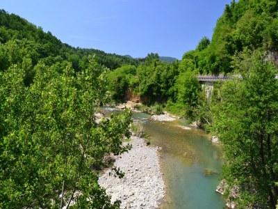 Holiday house Rustikales toskanisches Cottage - Environment photo 35