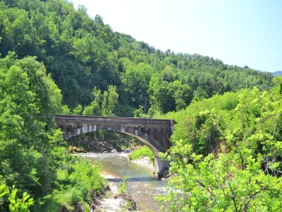 Holiday house Rustikales toskanisches Cottage - Outdoor photo 36