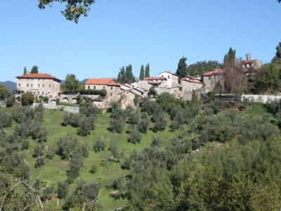 Holiday house Rustikales toskanisches Cottage - Outdoor photo 40