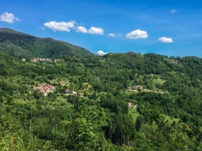 Holiday house Holiday Home in Tuscany with Natural Pond - Environment photo 21