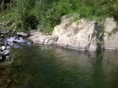 Holiday house Holiday Home in Tuscany with Natural Pond - Environment photo 22