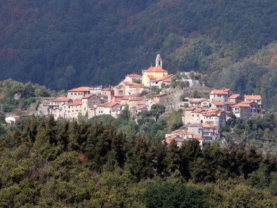 Holiday house Holiday Home in Tuscany with Natural Pond - Environment photo 23