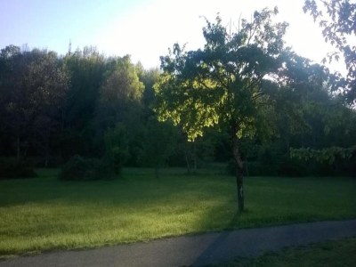 Holiday house Holiday Home in Tuscany with Natural Pond - Environment photo 24