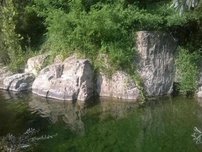 Holiday house Holiday Home in Tuscany with Natural Pond - Environment photo 27