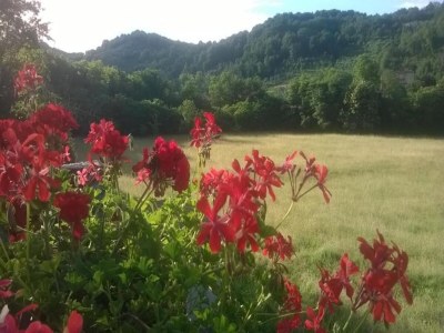 Holiday house Holiday Home in Tuscany with Natural Pond - Environment photo 28