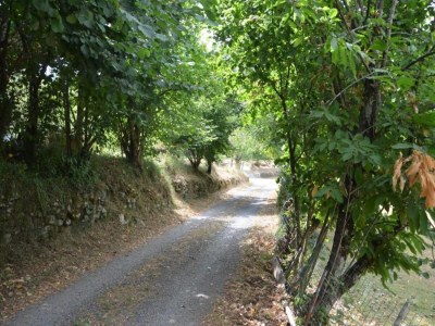 Holiday house Holiday Home in Tuscany with Natural Pond - Environment photo 29
