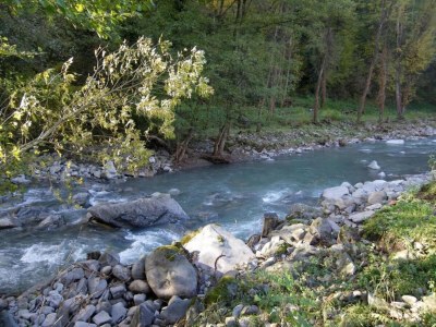 Holiday house Holiday Home in Tuscany with Natural Pond - Environment photo 31