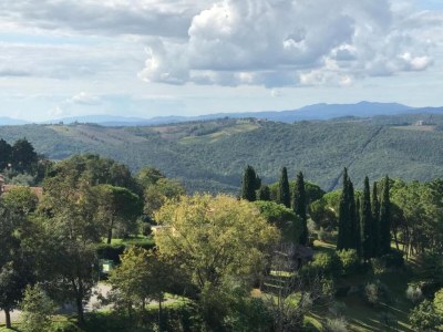 Holiday house Holiday Home in Tuscany with Natural Pond - Environment photo 33