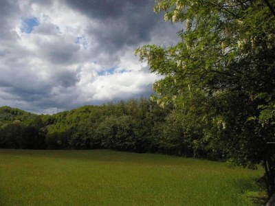 Holiday house Holiday Home in Tuscany with Natural Pond - Environment photo 36