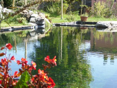 Holiday house Holiday Home in Mulazzo with Natural Pond - Outdoor photo 19