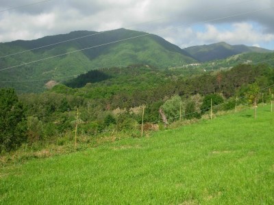 Holiday house Holiday Home in Mulazzo near Tuscan Castles - Outdoor photo 14