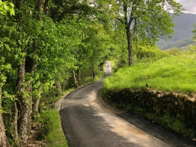 Farmhouse Farmhouse in Casoli near Ski Slopes - Environment photo 31