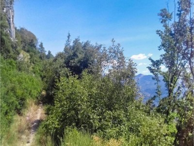 Farmhouse Farmhouse in Casoli near Ski Slopes - Environment photo 34