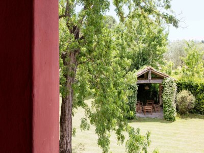 Holiday house Peaceful Apartment, Ghizzano - Outdoor photo 8