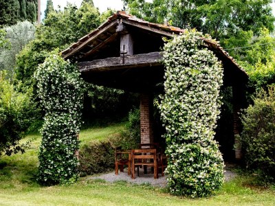 Holiday house Peaceful Apartment, Ghizzano - Outdoor photo 12