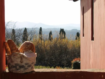 Holiday house Peaceful Apartment, Ghizzano - Outdoor photo 13