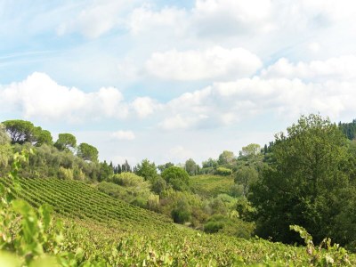 Holiday house Peaceful Apartment, Ghizzano - Environment photo 31